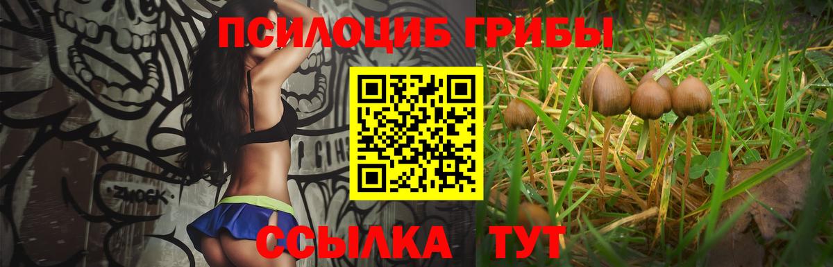 Всеволожск  Галлюциногенные грибы Cubensis  наркота  Вход с VPN  Галлюциногенные грибы GOLDEN TEACHER 